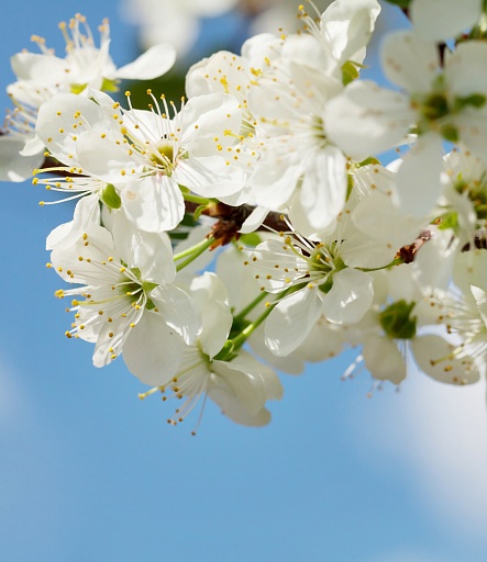 帮助卫国战争的老兵